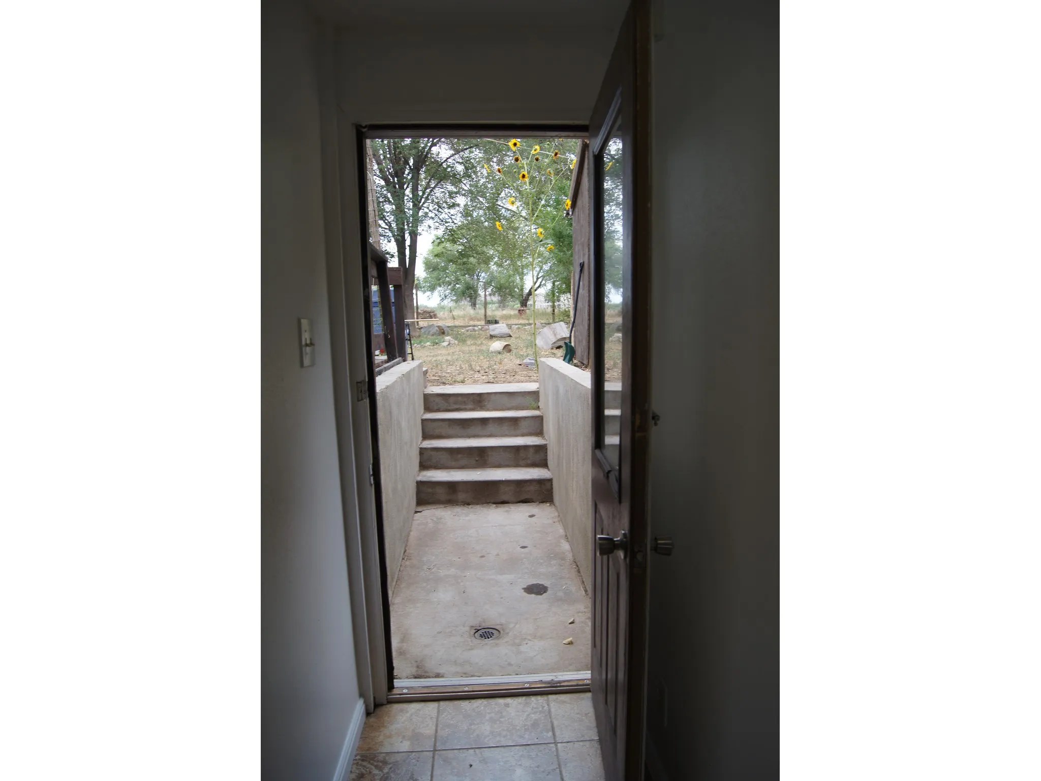 Concrete stairs leading to backyard.