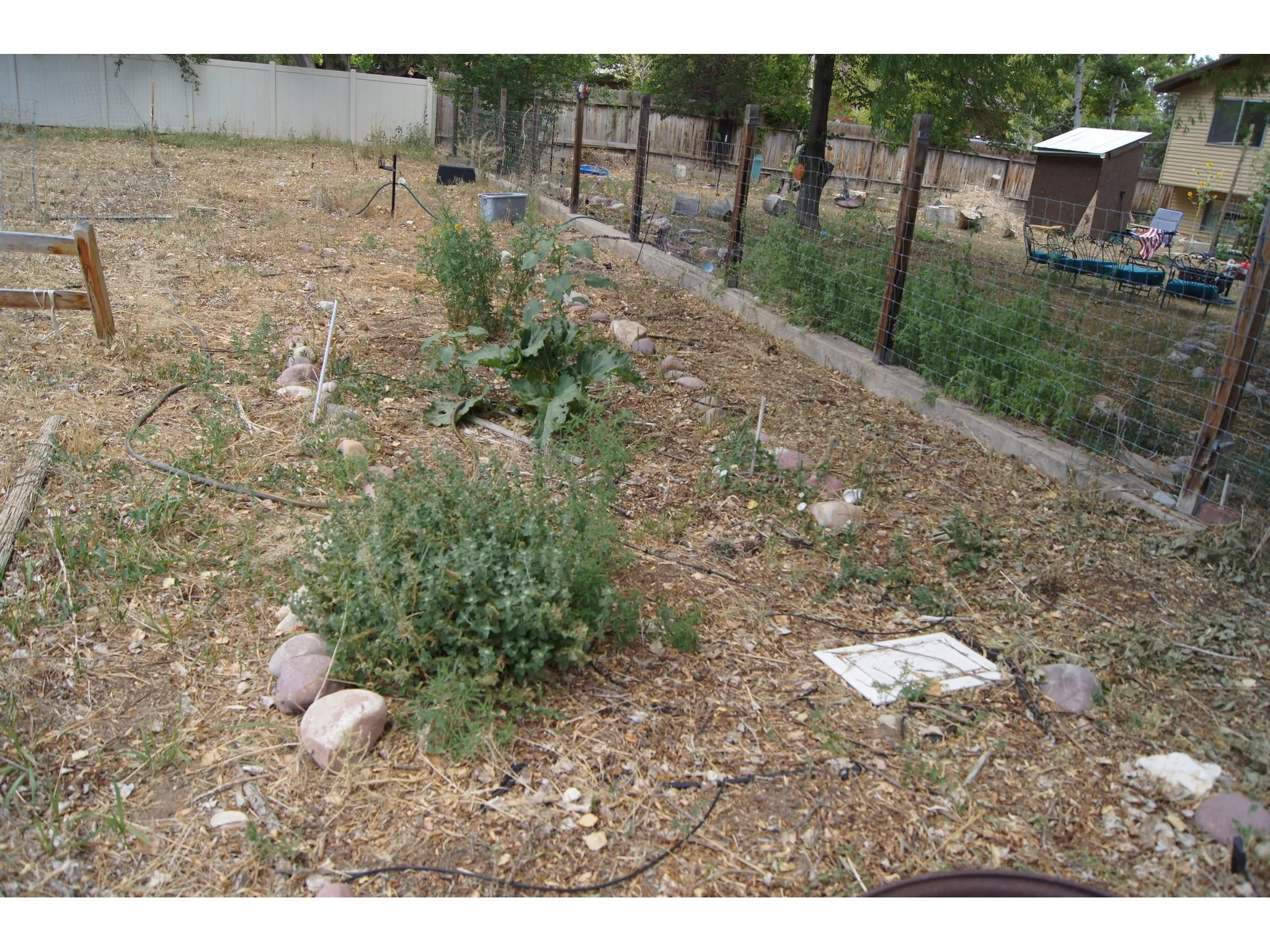 Garden area featuring established plantings, an irrigation hose, and decorative stones