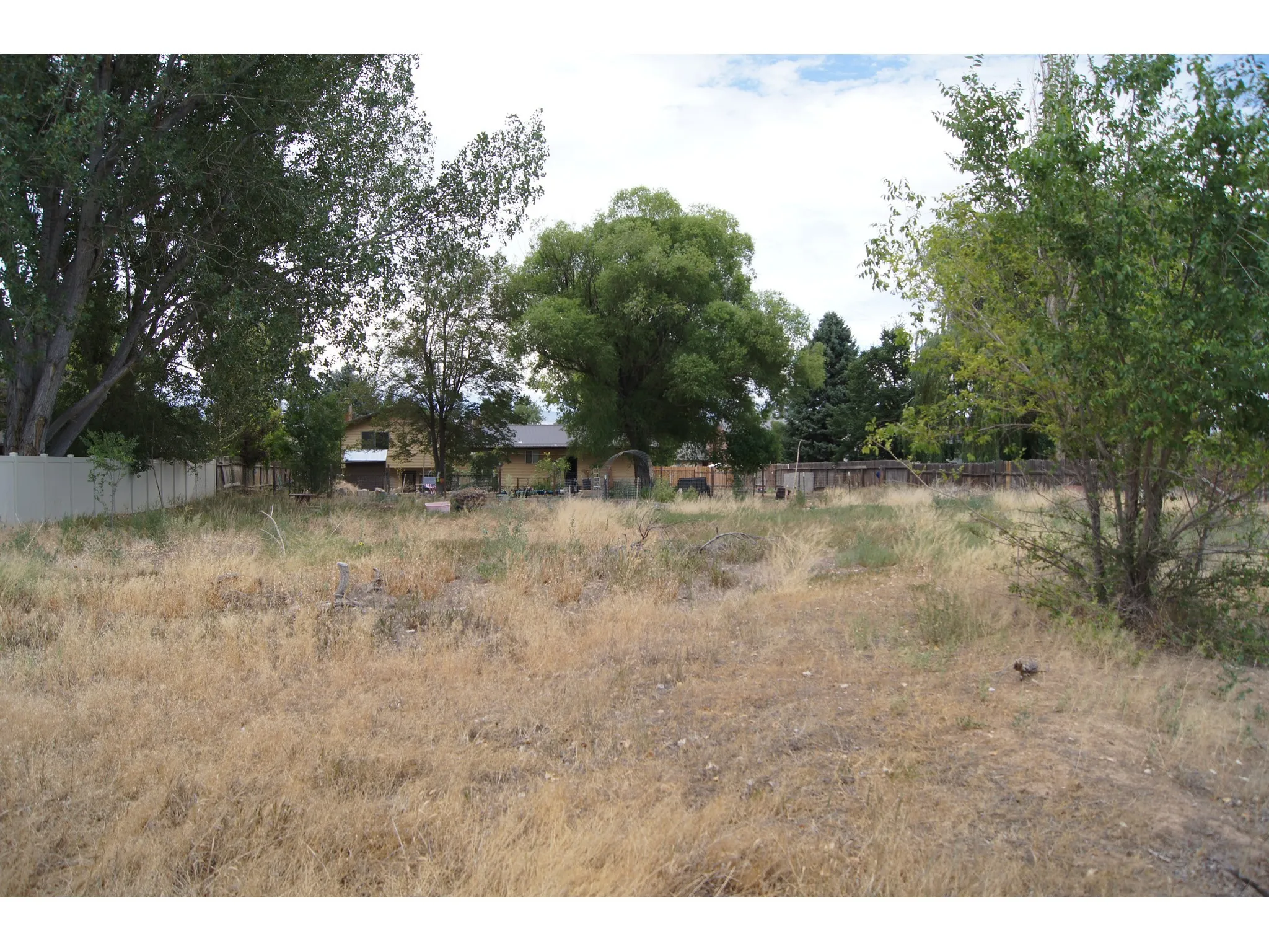 Expansive lot featuring mature trees and a light-toned privacy fence