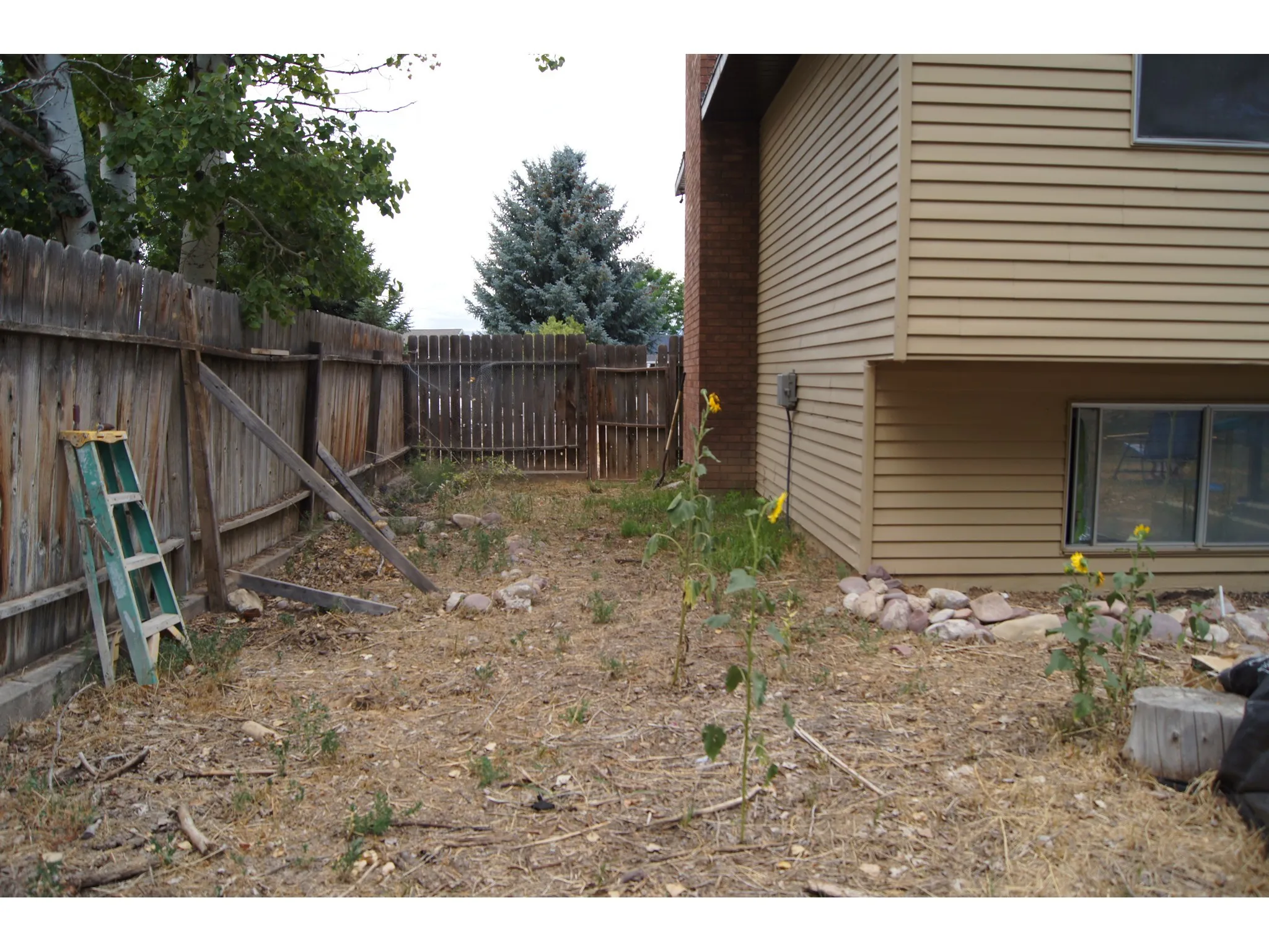 Rear exterior featuring horizontal siding, a visible window, and a wood privacy fence