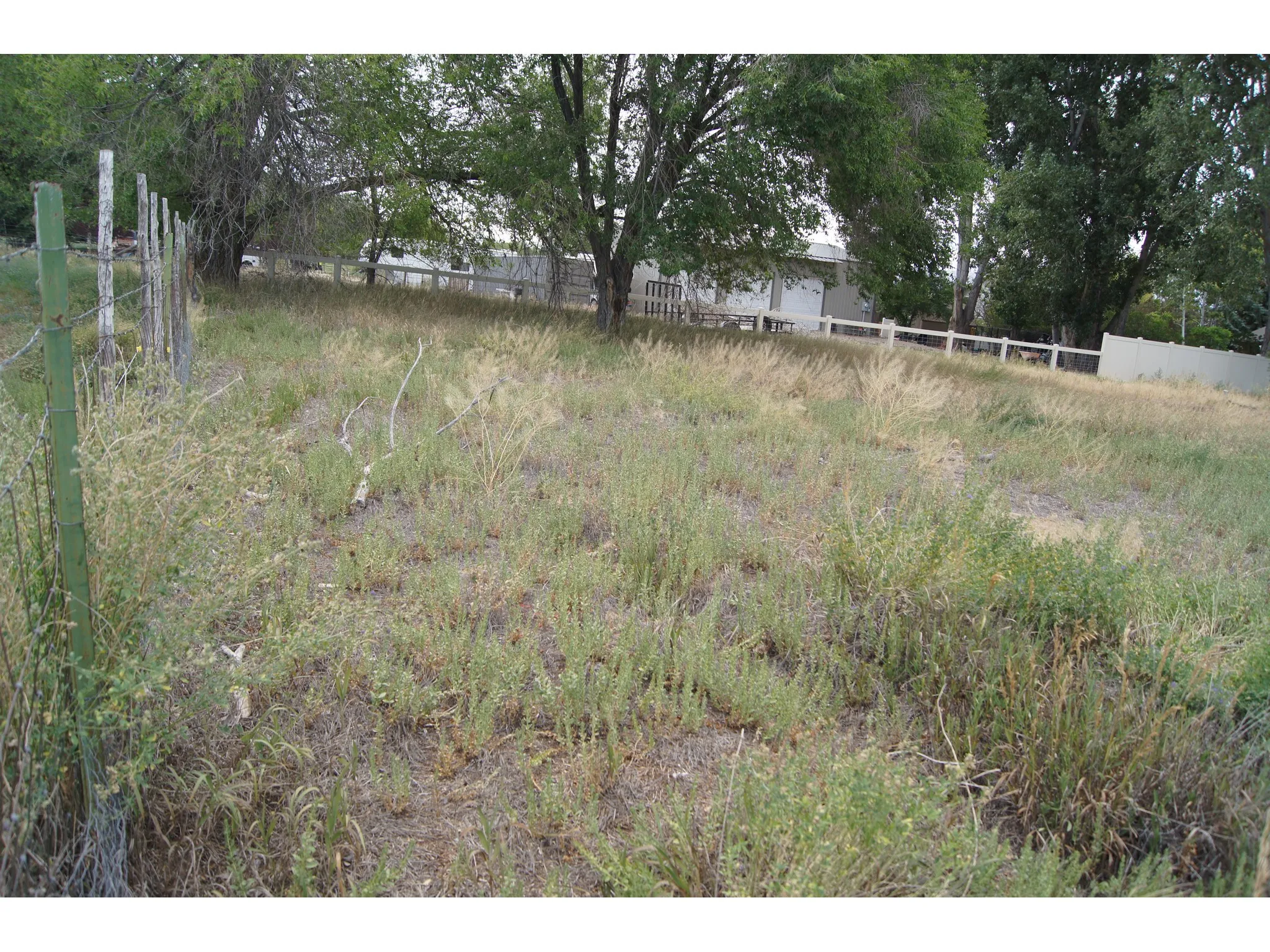 Expansive lot featuring mature trees and a perimeter fence