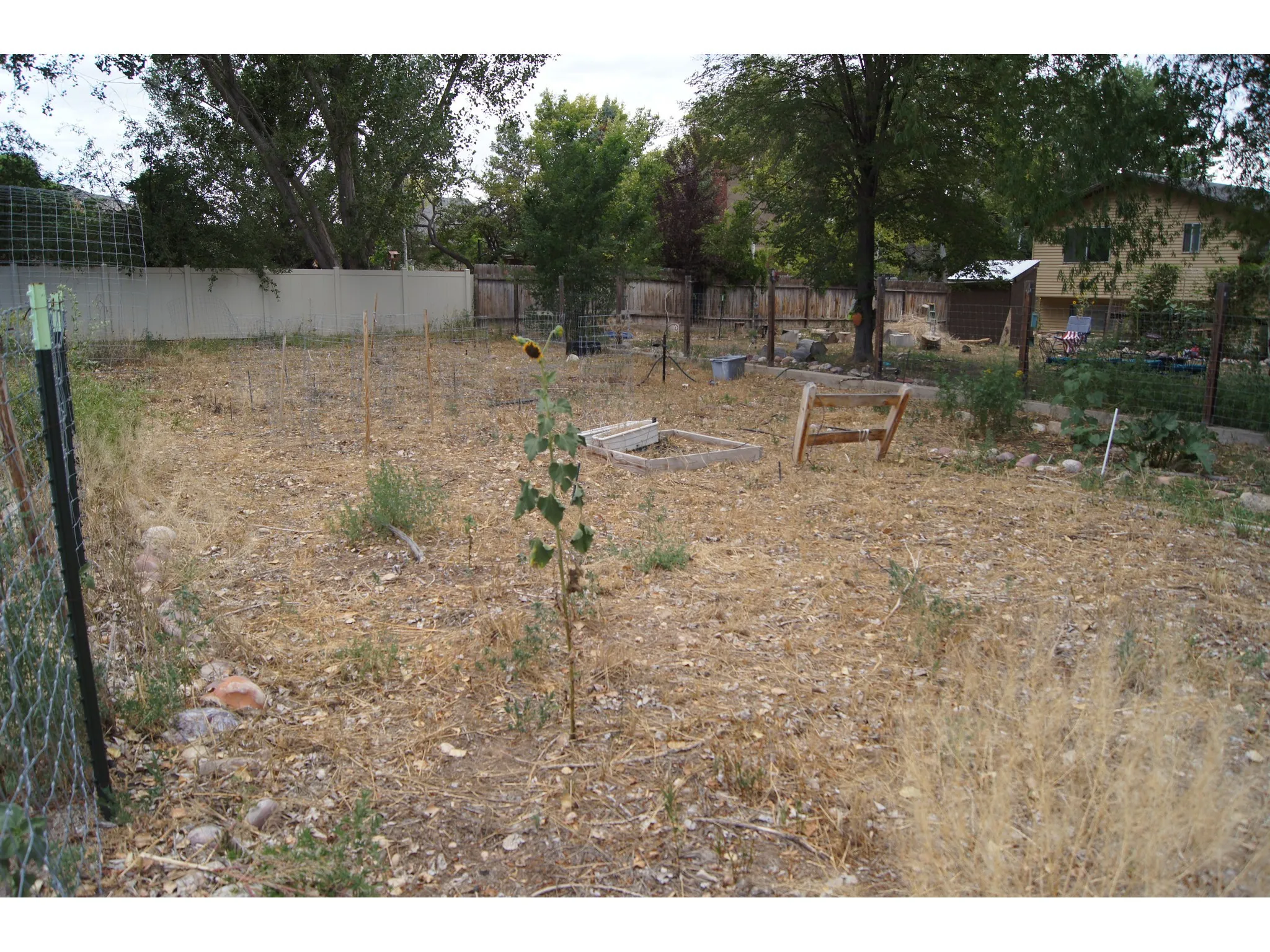 Garden area featuring established plantings, an irrigation hose, and decorative stones