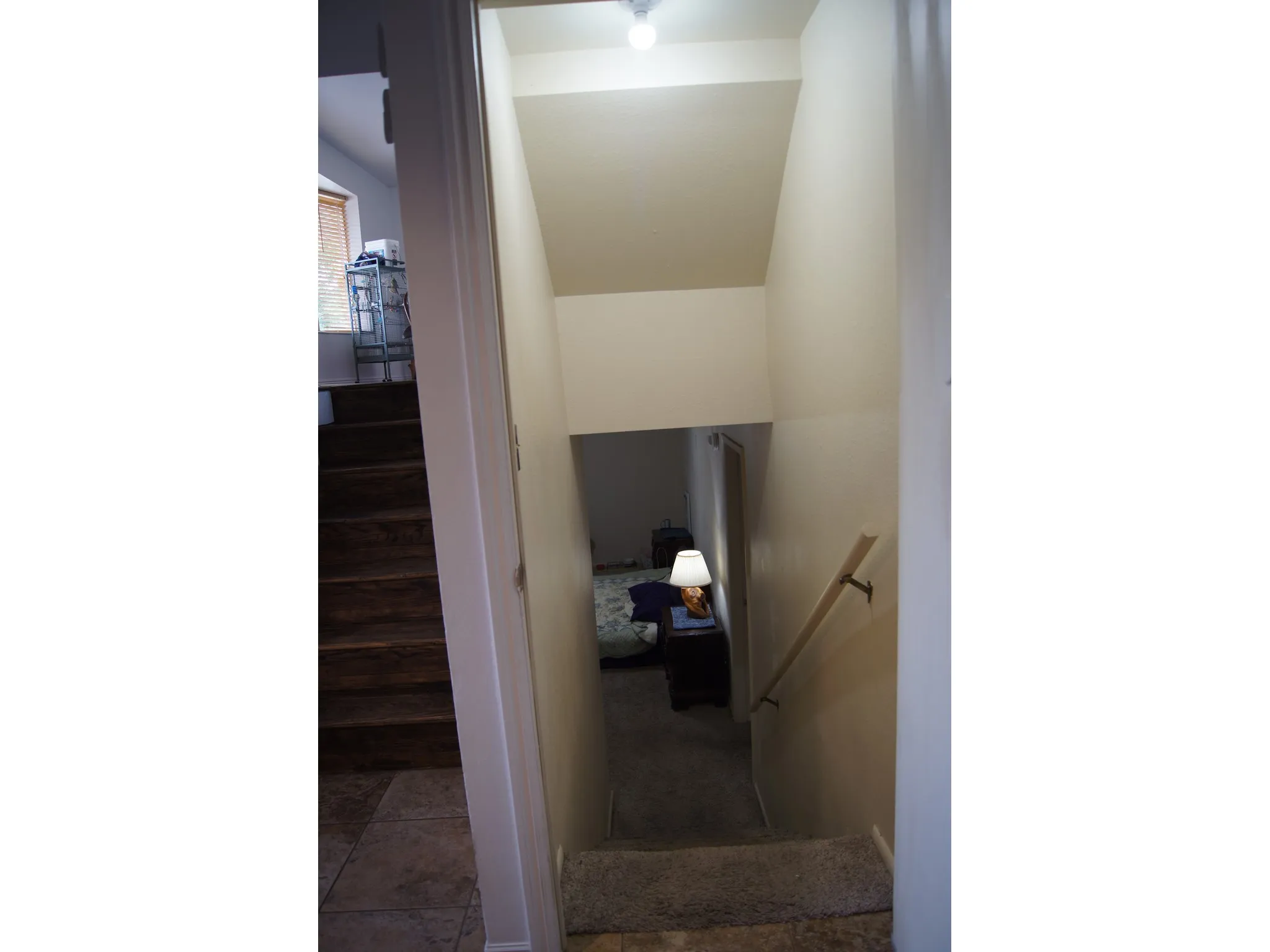Stairwell featuring carpeted steps descending to a lower level, a natural wood-finish handrail, and a recessed ceiling light fixture