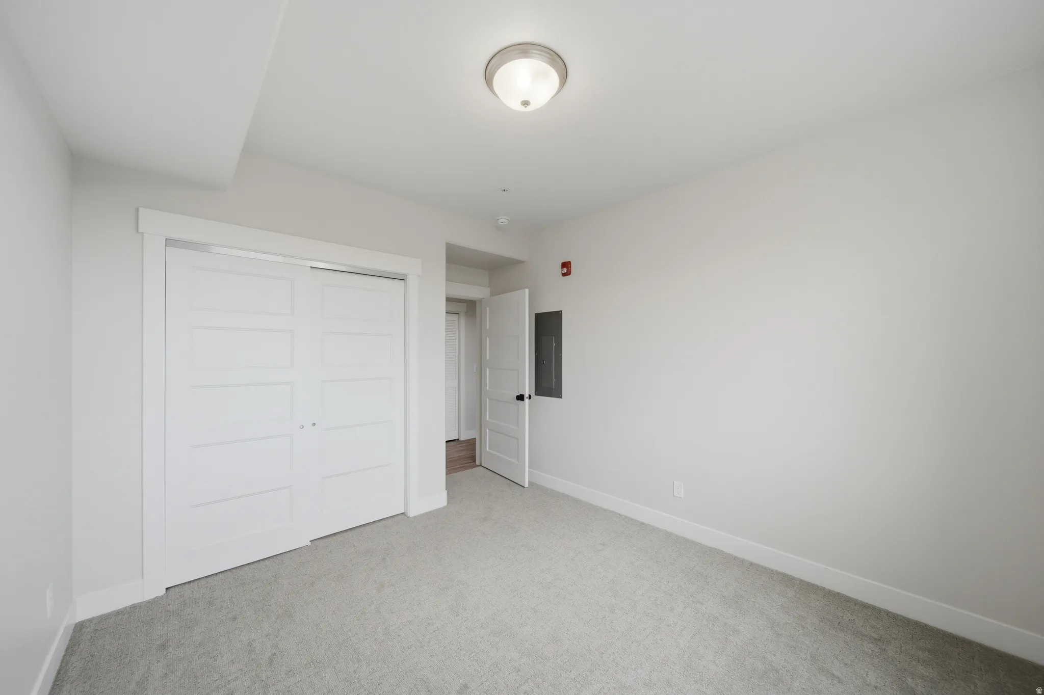 Light gray carpeted room with white walls and baseboards