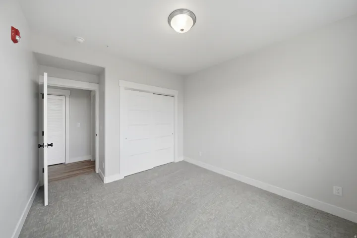 Spacious room featuring light gray walls, textured gray carpet, and white baseboards