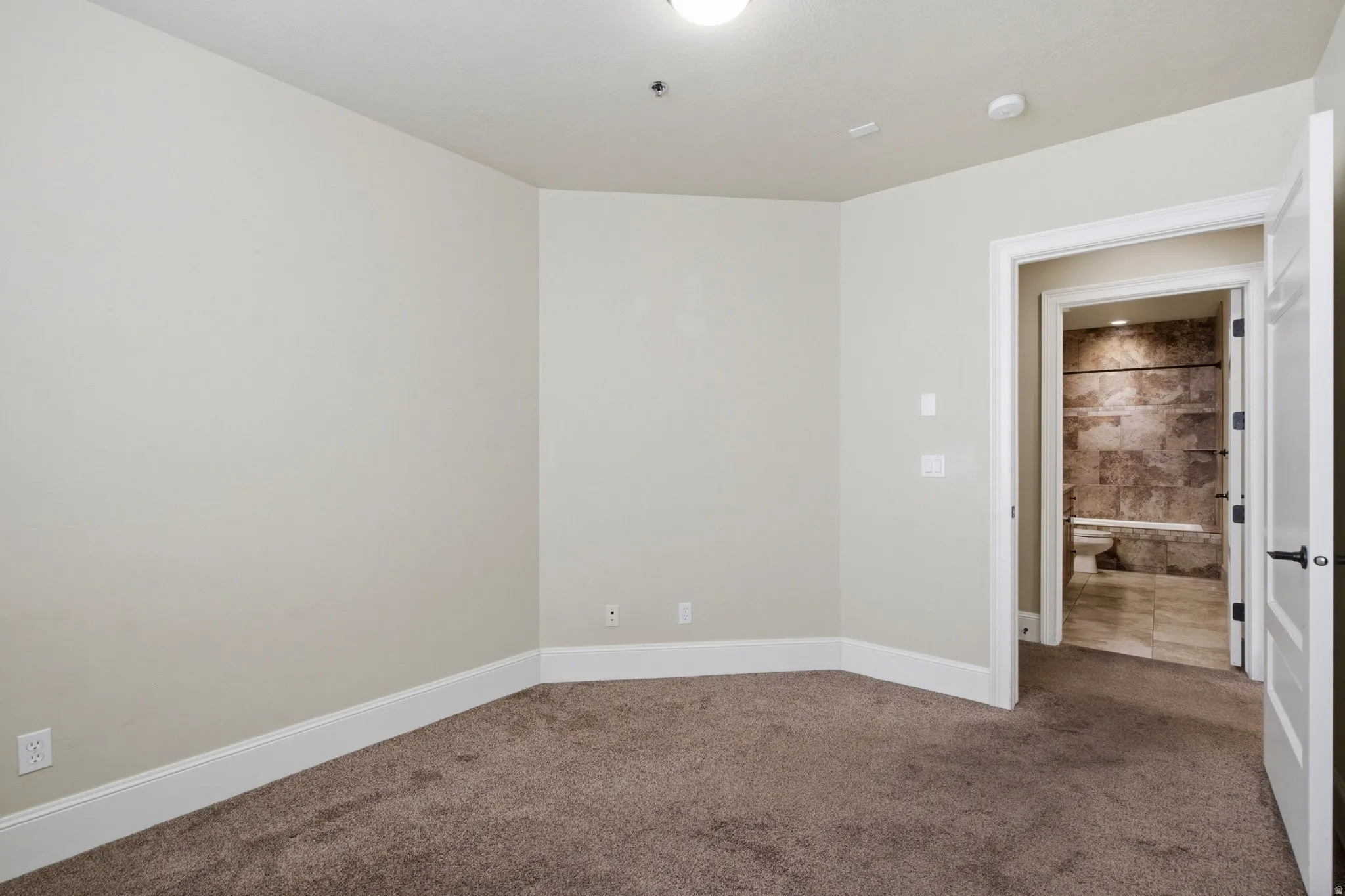 Carpeted room with light-toned walls and white trim