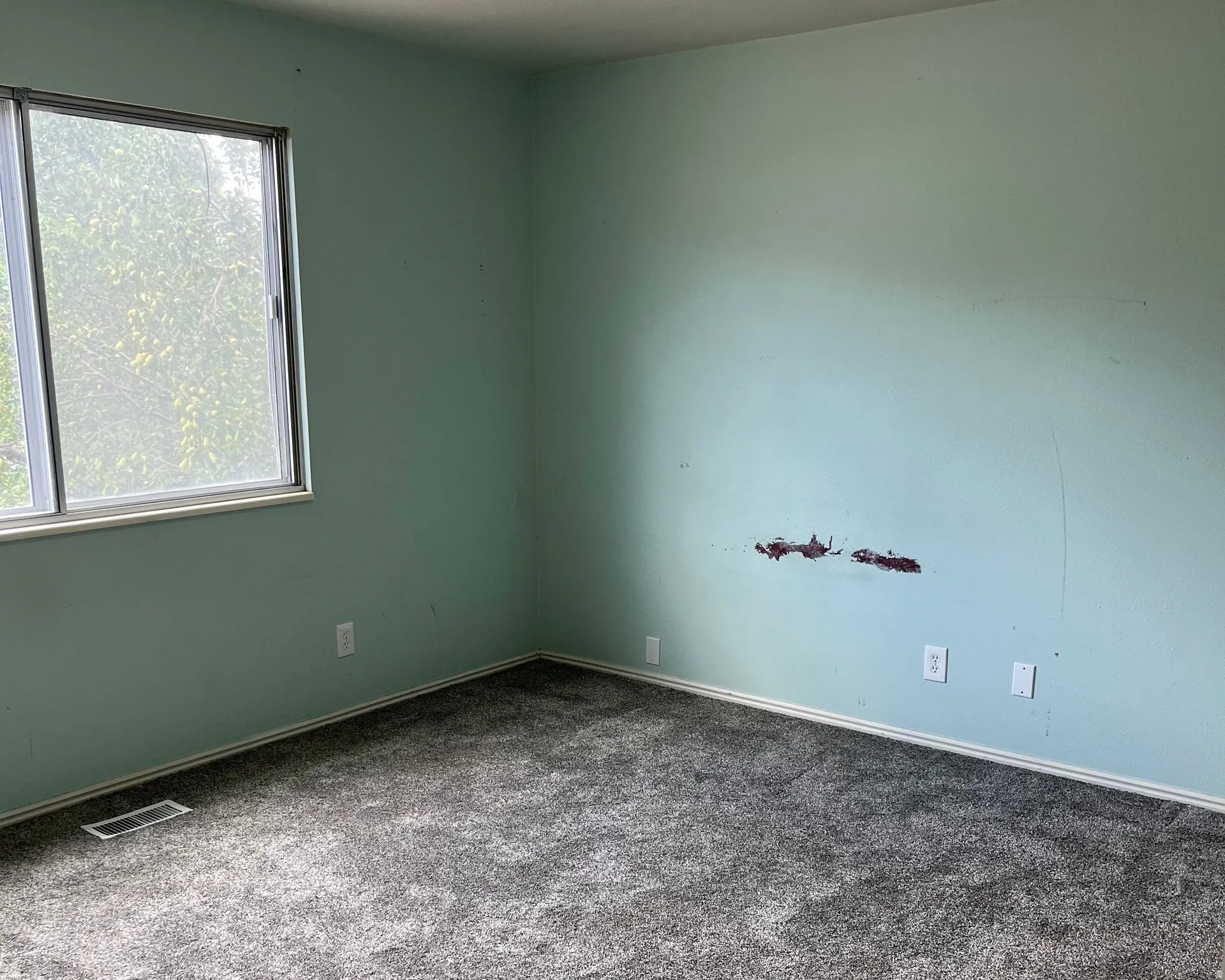 Room featuring a double-pane window, light green walls, and new gray carpeting