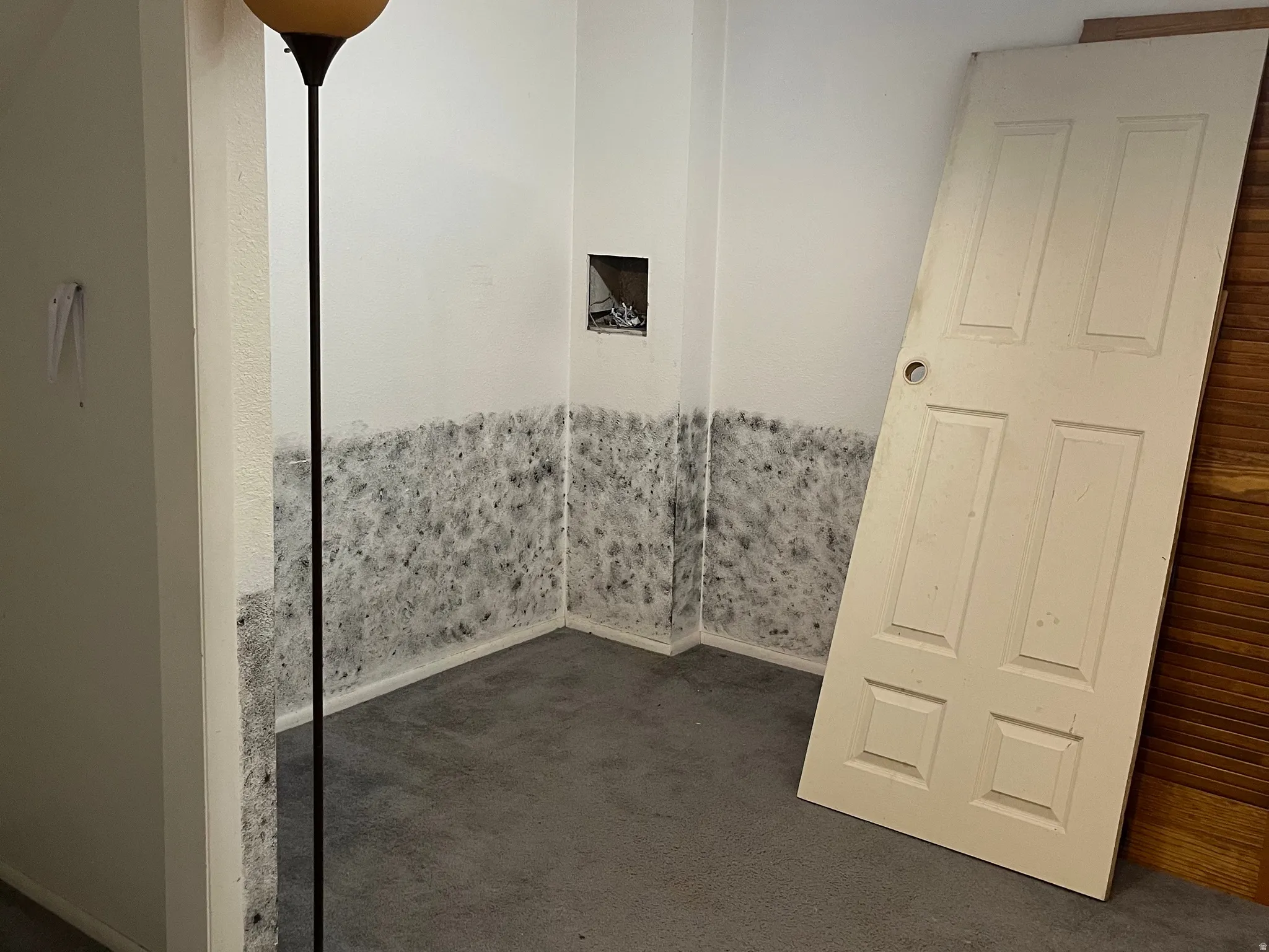 This is featuring the walk-in closet, the door is off the closet. Also, this room was used as a 5th bedroom.