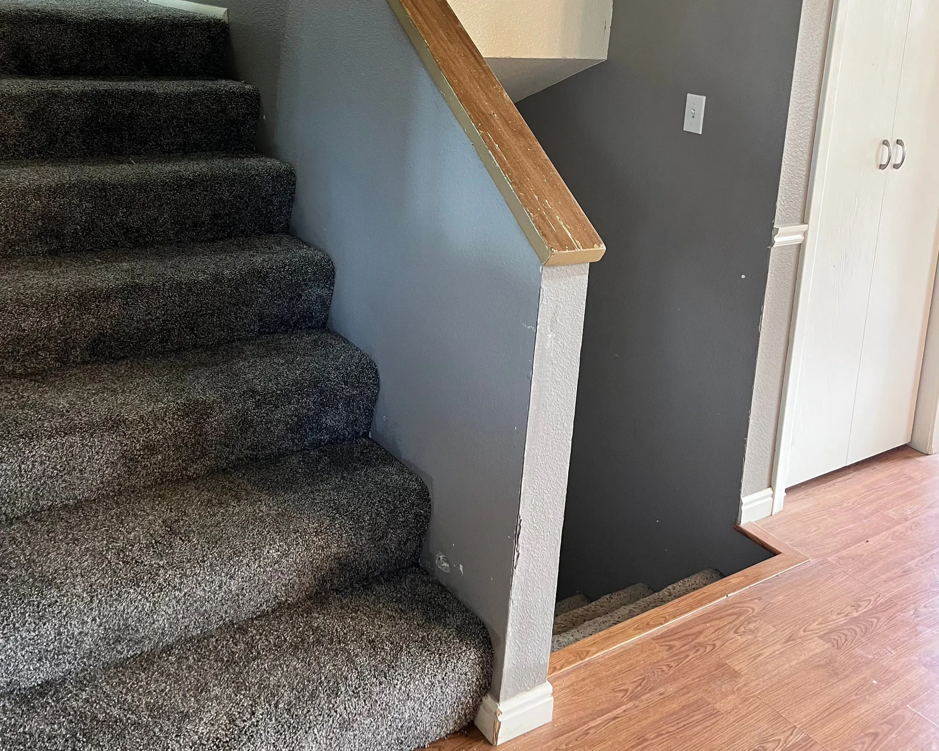 Newly carpeted stairs featuring a wood-finish handrail and light gray wall paneling