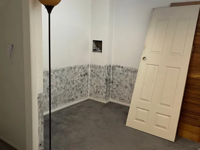 This is featuring the walk-in closet, the door is off the closet. Also, this room was used as a 5th bedroom.