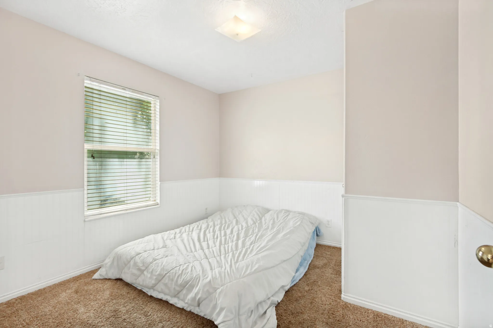 Room featuring neutral-toned walls with white wainscoting, a window with horizontal blinds, and a textured carpet flooring