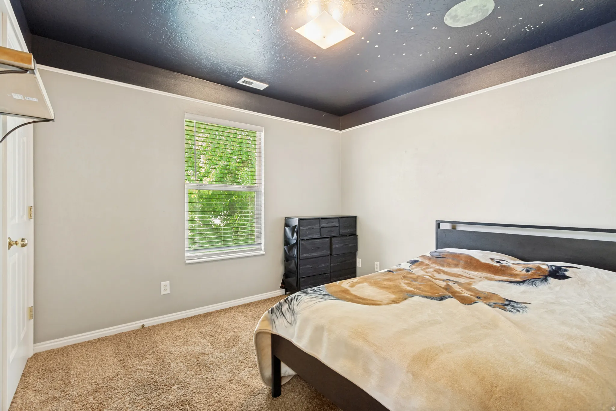 Carpeted room with a celestial-themed ceiling, a single window with blinds, and light-colored walls