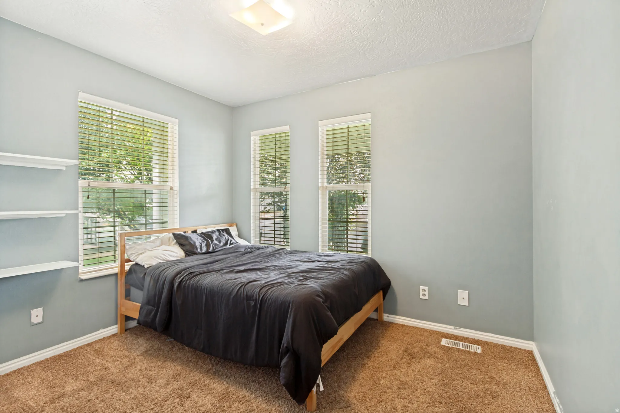 Room featuring two windows with blinds, built-in shelving, carpet flooring, and a ceiling-mounted light fixture
