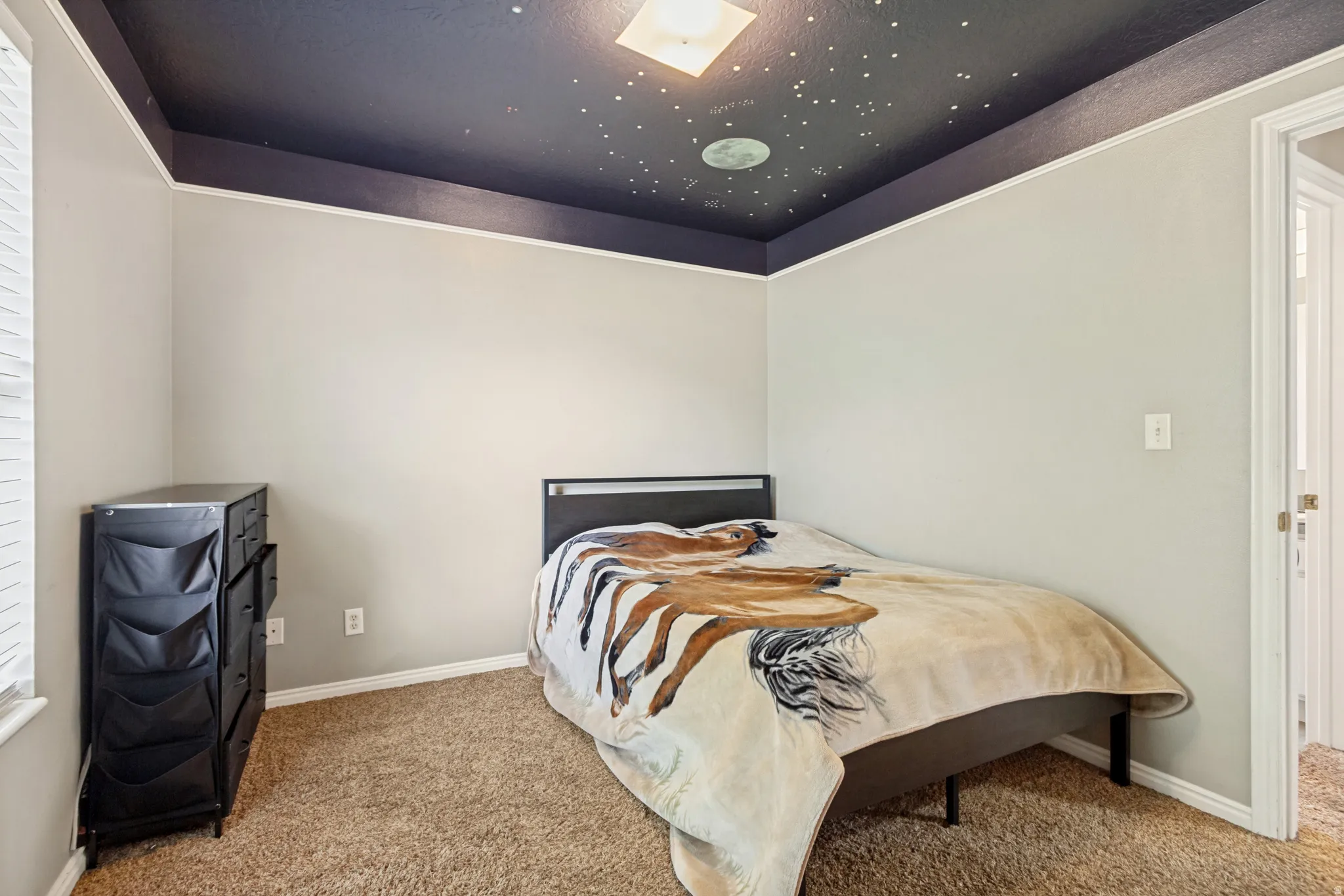 Carpeted room featuring light gray walls and a dark blue ceiling with white trim