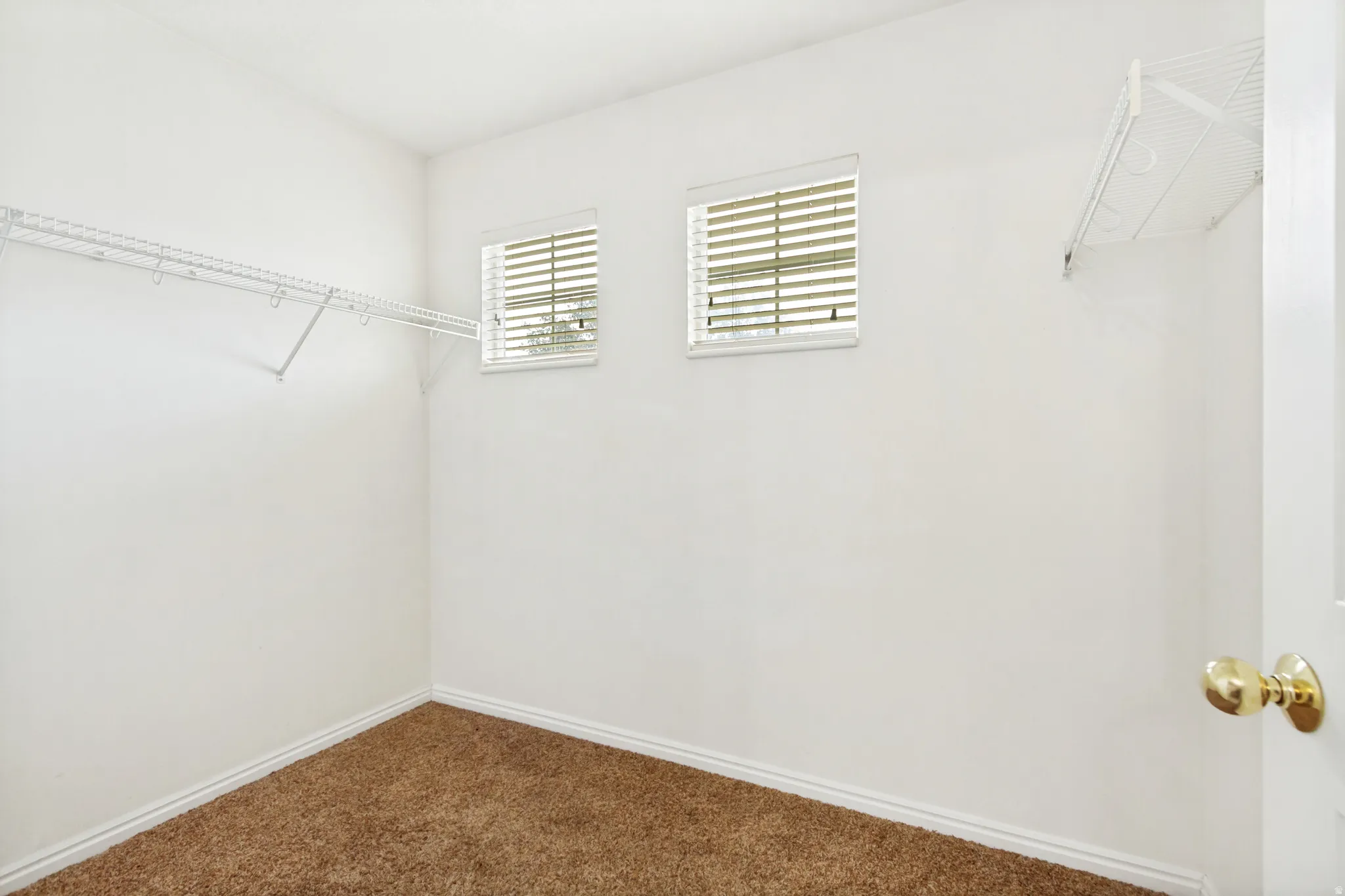 Walk-in closet featuring two windows with blinds, white wire shelving, white baseboards, and brown carpet flooring