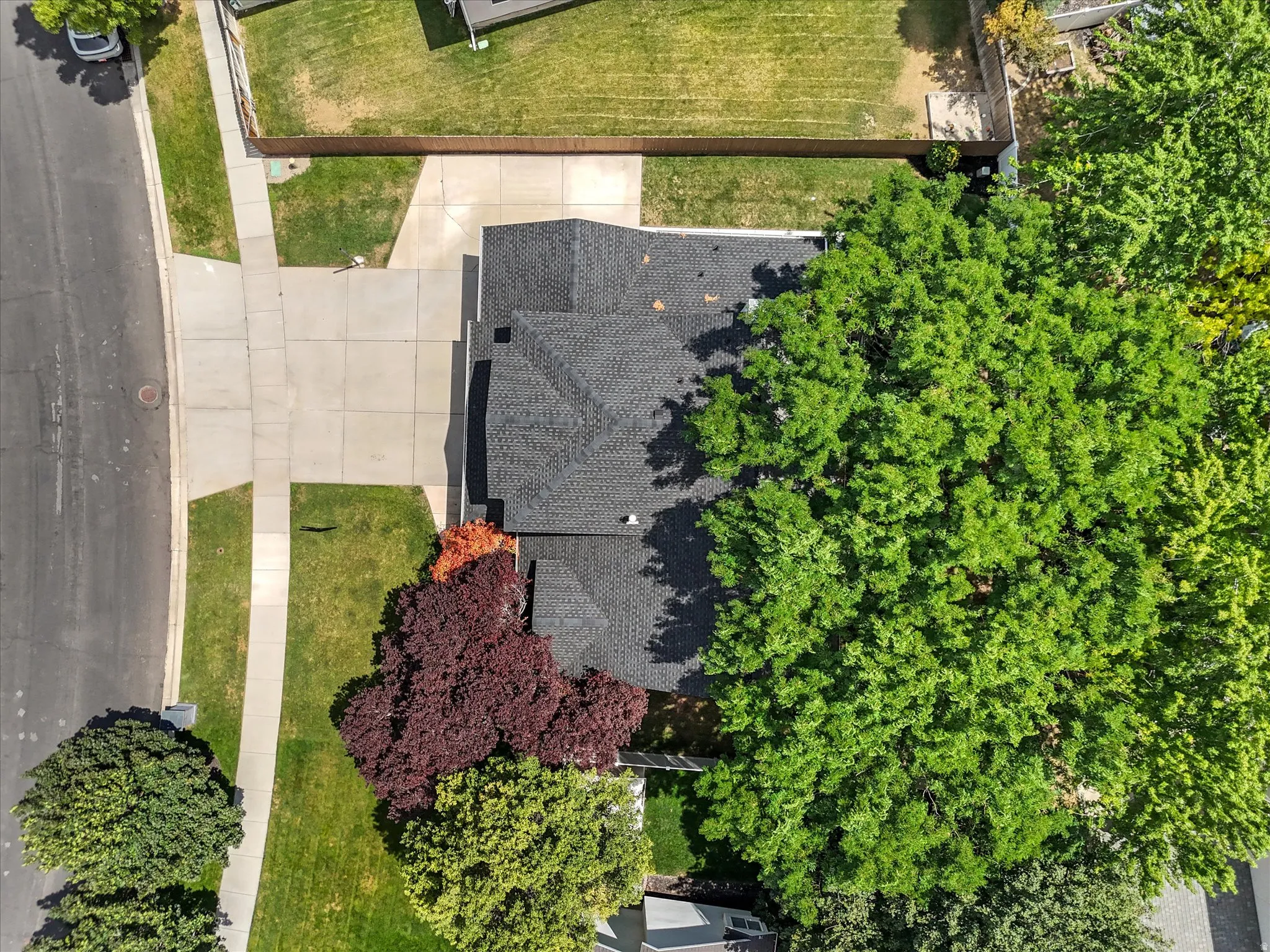 Property featuring a dark shingled roof, mature trees providing ample shade, a concrete driveway, and a well-maintained lawn