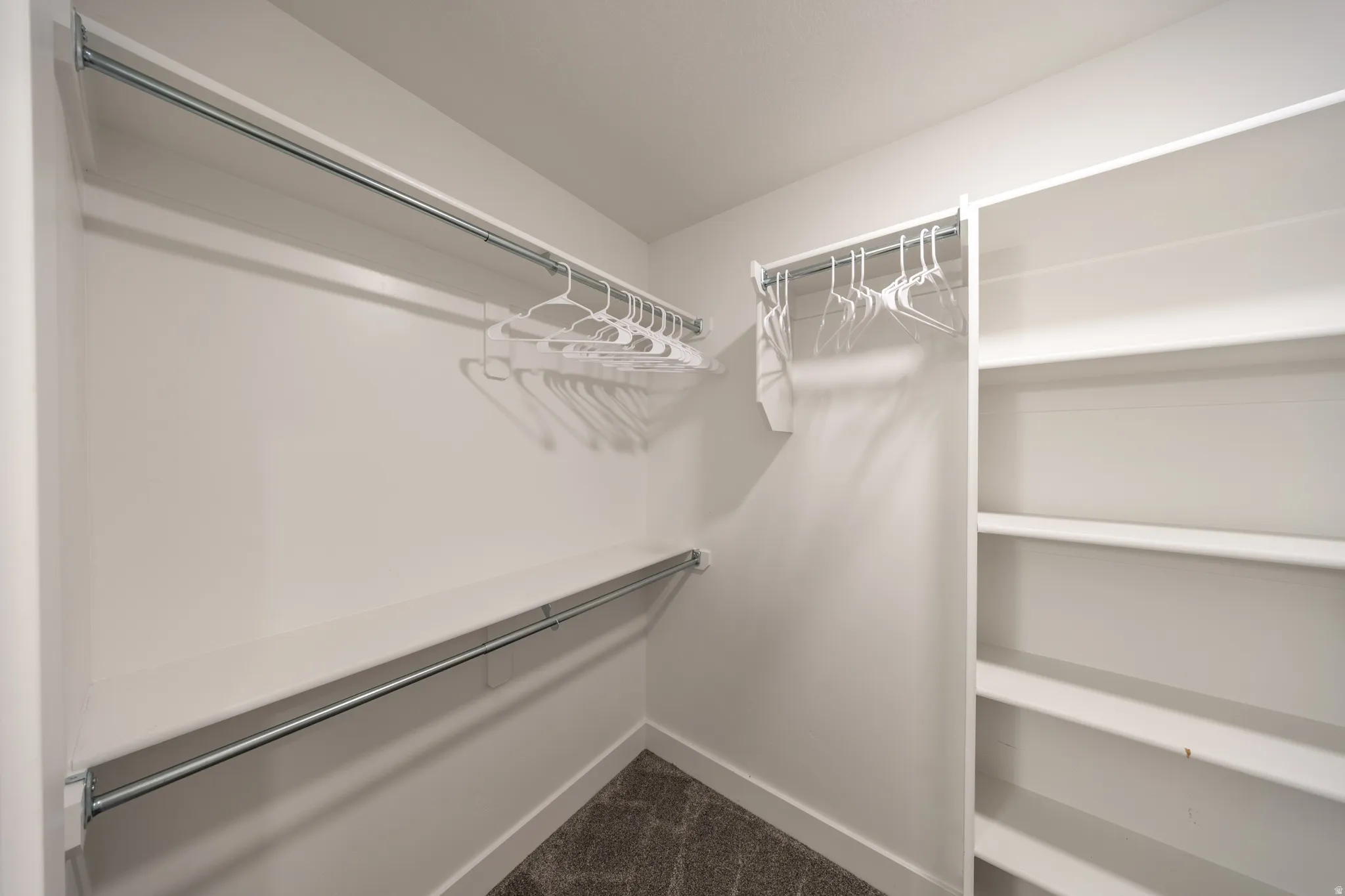 Walk-in closet featuring built-in shelving, dual hanging rods, and dark carpeting
