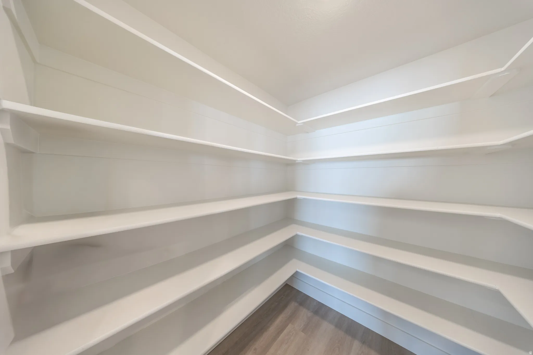 Walk-in pantry featuring extensive built-in shelving, light-colored walls, and wood-finish flooring