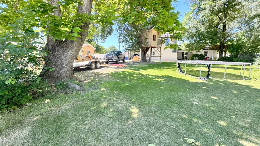 Expansive green lawn with mature trees and a built-in treehouse structure
