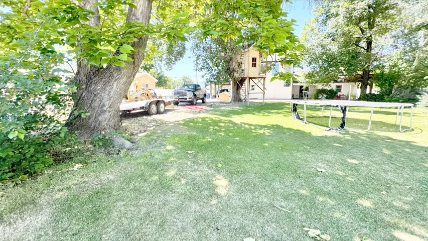 Expansive green lawn with mature trees and a built-in treehouse structure
