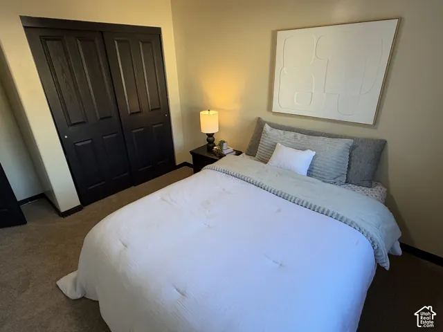 Room featuring dark-toned sliding closet doors with recessed panels and neutral carpeting