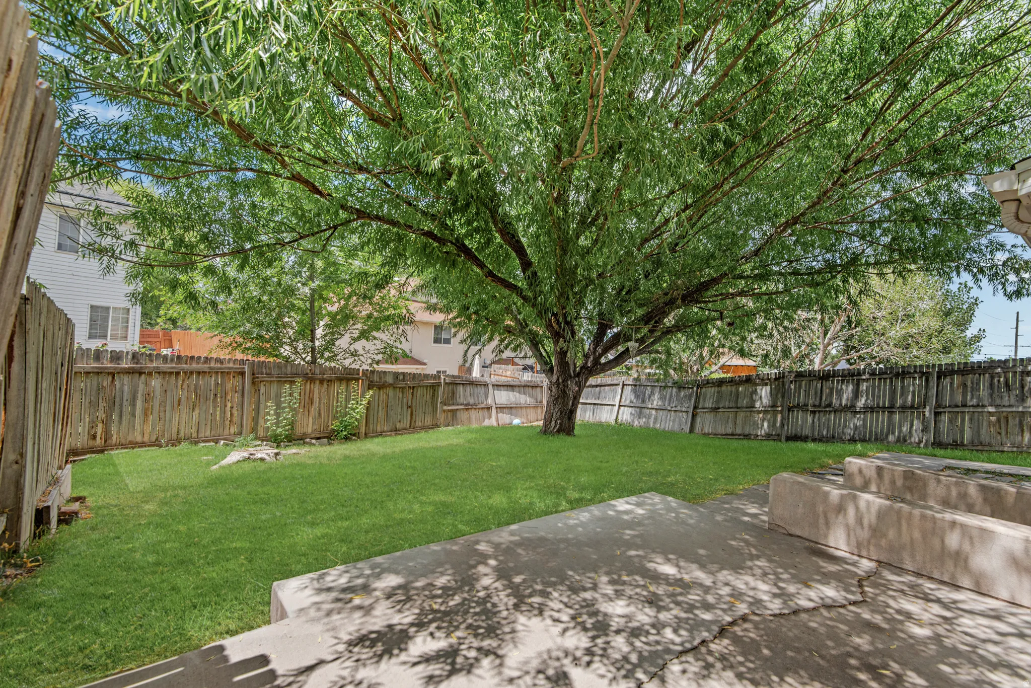 Expansive backyard featuring a large deciduous tree, green lawn, a wooden privacy fence, and a concrete patio with built-in seating