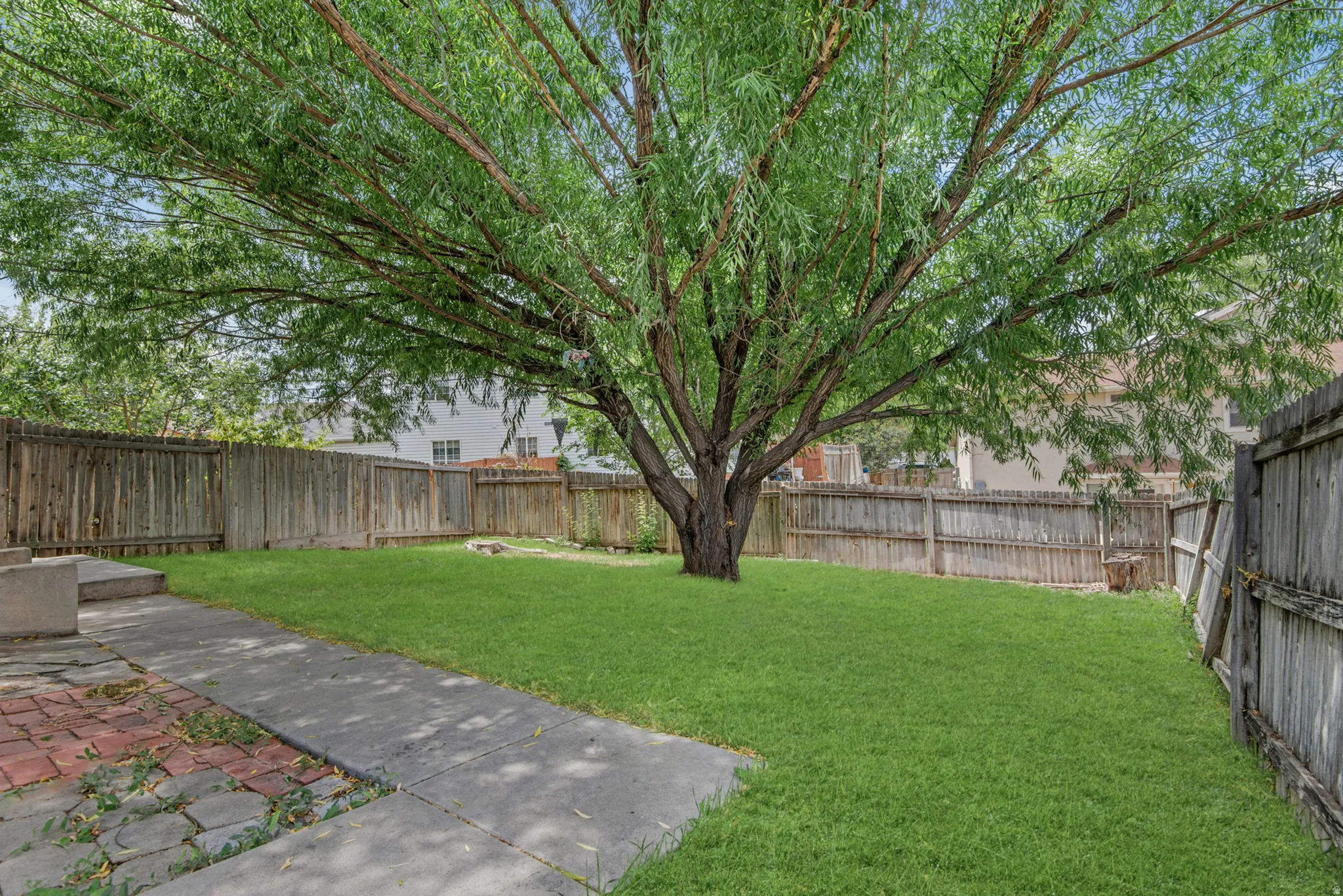 Expansive backyard featuring a mature central tree, manicured lawn, concrete pathway, and brick patio area