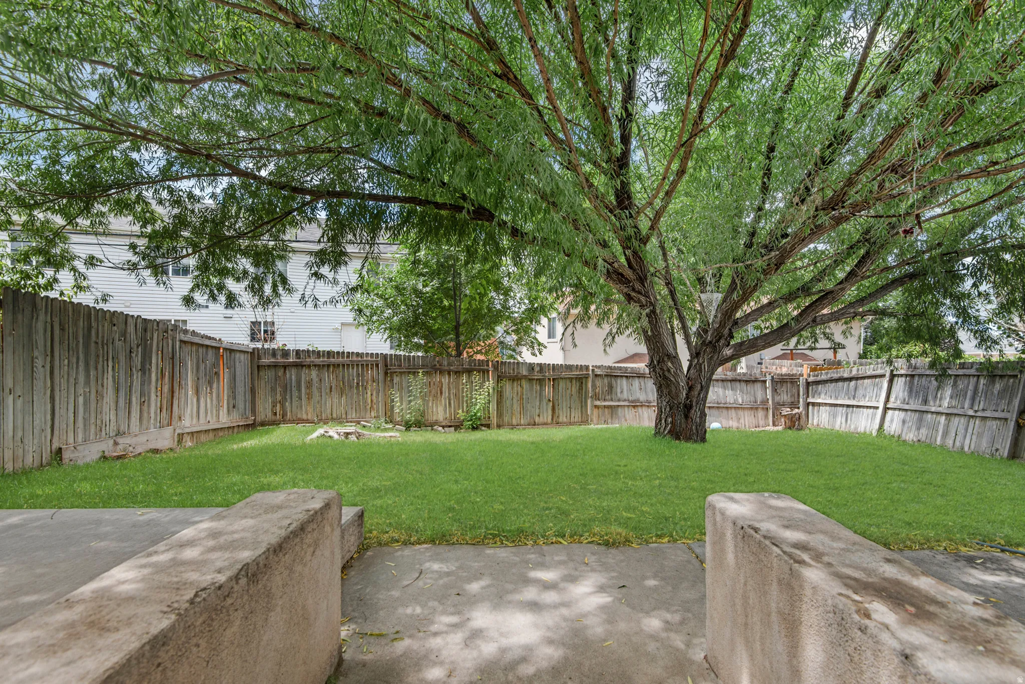 Expansive backyard featuring a mature tree, natural grass, and perimeter fencing