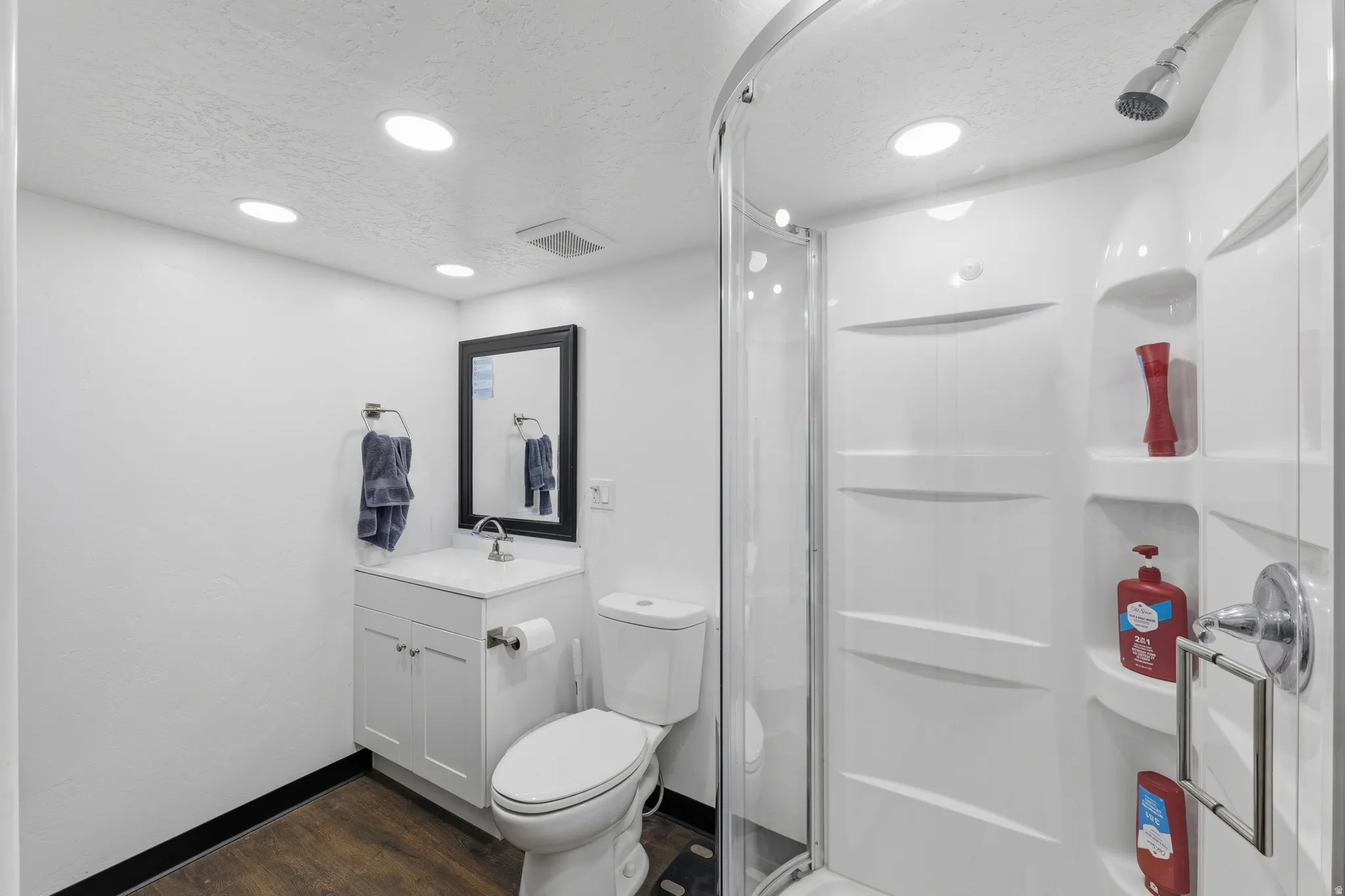 Full bathroom featuring a white vanity with a rectangular sink, a framed mirror, a standard toilet, and a stand-up shower with a curved glass enclosure