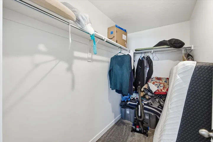 Walk-in closet featuring white walls, carpet flooring, and a built-in shelving system with hanging rods