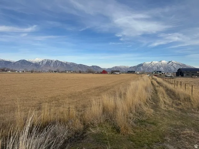Expansive open field with a clear, blue sky overhead and distant snow-capped mountains