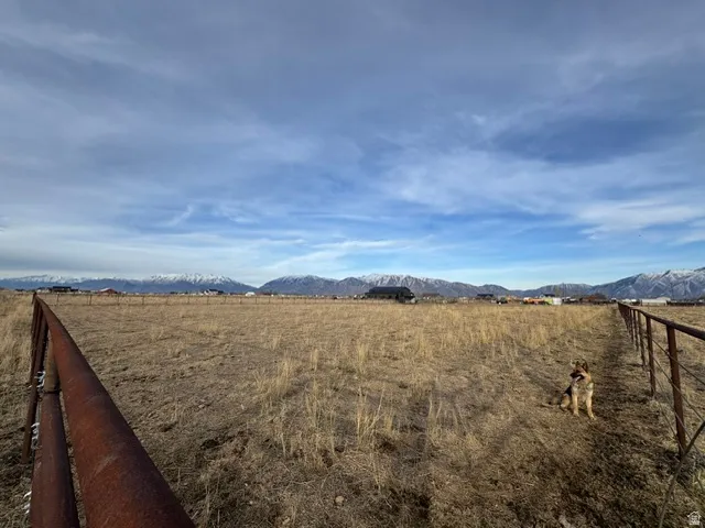 Expansive open field with natural terrain