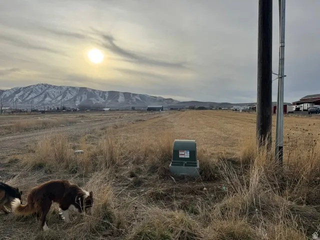 Expansive open field with a mountainous backdrop