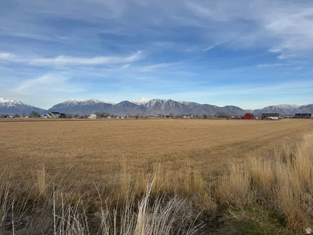 Expansive undeveloped land featuring natural grasses and distant snow-capped mountains