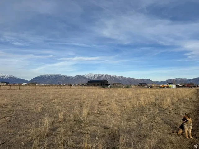Expansive flat acreage with a distant mountain backdrop