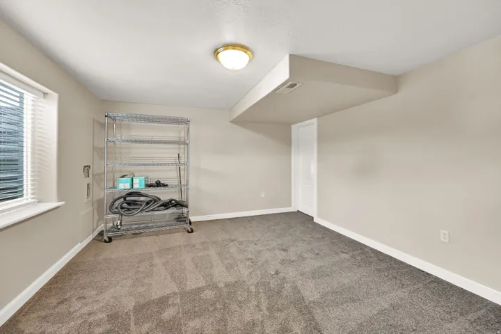 Basement Flex room