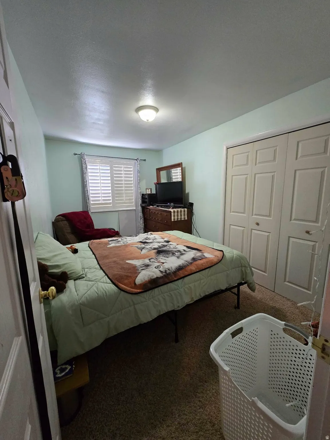 Carpeted room featuring a ceiling-mounted light fixture, louvered window shutters, and bi-fold closet doors