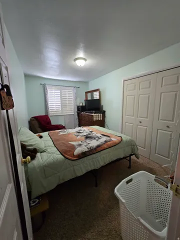 Carpeted room featuring a ceiling-mounted light fixture, louvered window shutters, and bi-fold closet doors