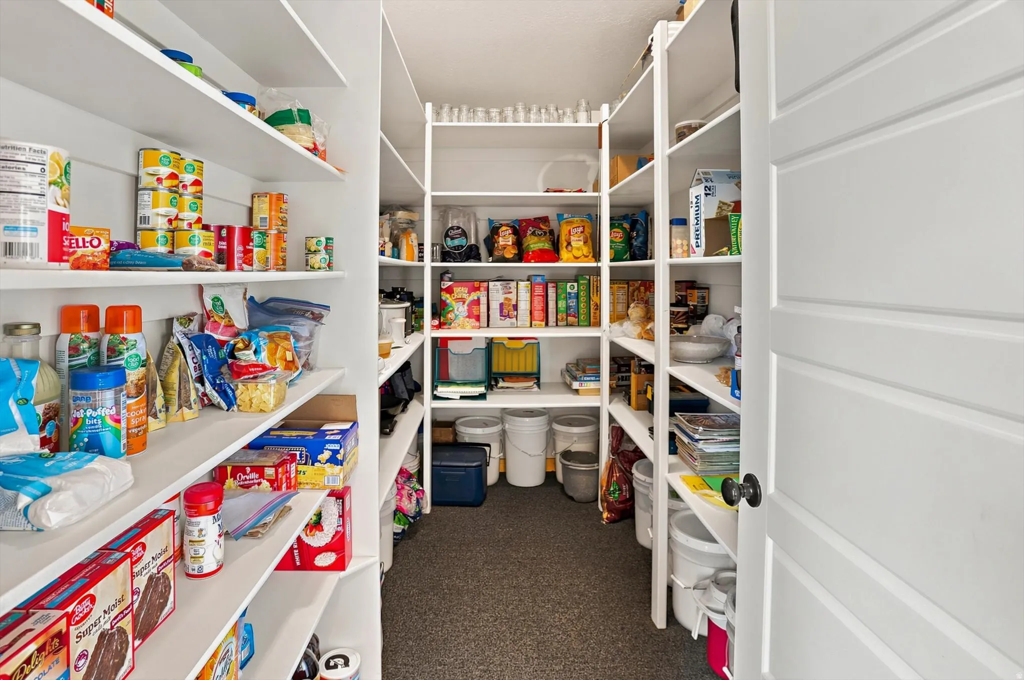 Walk-in pantry featuring extensive white shelving, a paneled door, black doorknob, and grey carpet flooring