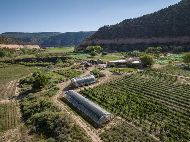 Expansive agricultural property featuring multiple greenhouses and extensive vineyard rows