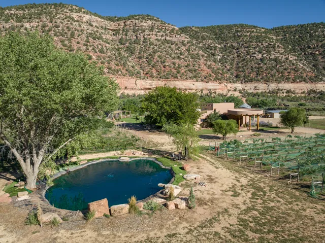 Natural-form pond surrounded by rock landscaping and mature trees