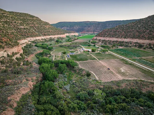 Expansive agricultural property situated within a valley, featuring multiple cultivated fields, established vineyards, and a primary residence