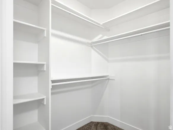Walk-in closet featuring built-in shelving, multiple hanging rods, and carpet flooring