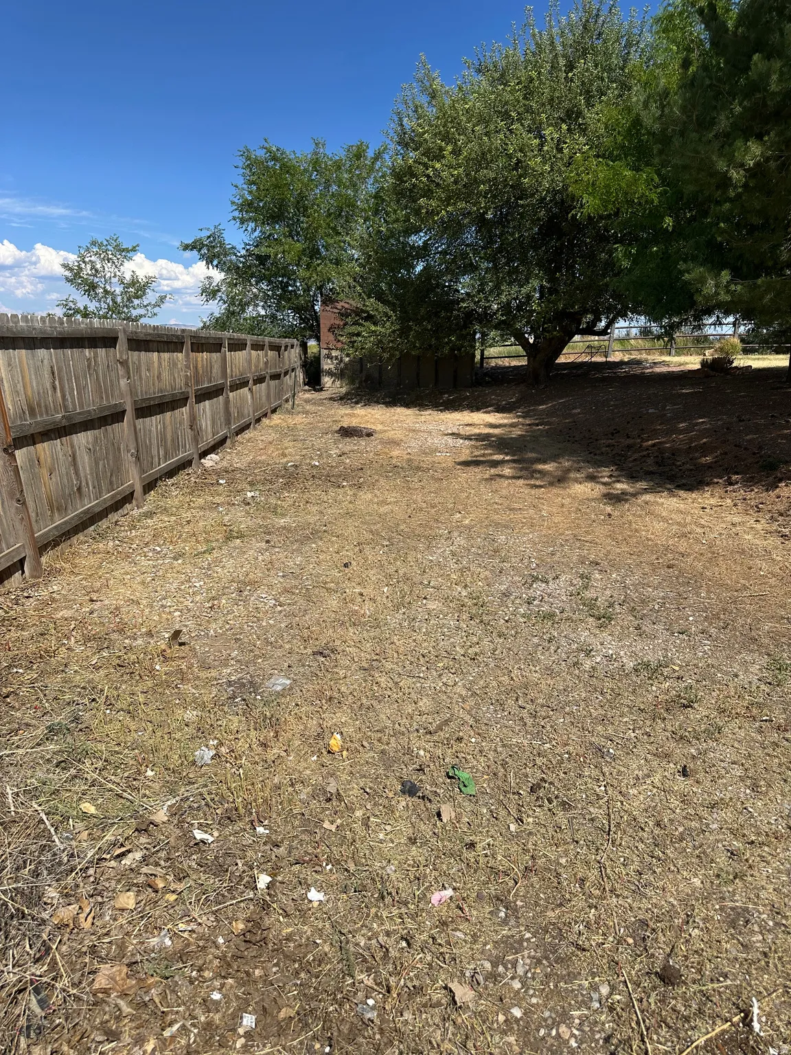 Spacious outdoor area with a wooden privacy fence, mature trees, and ample open space