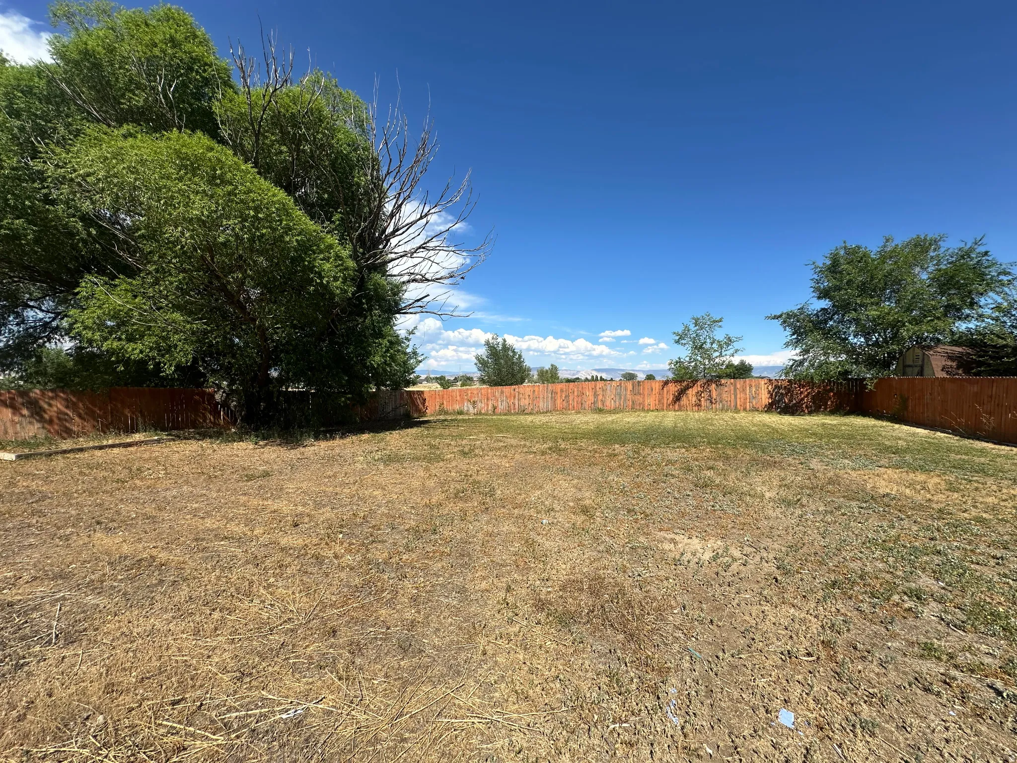 Spacious backyard with a perimeter privacy fence and mature trees