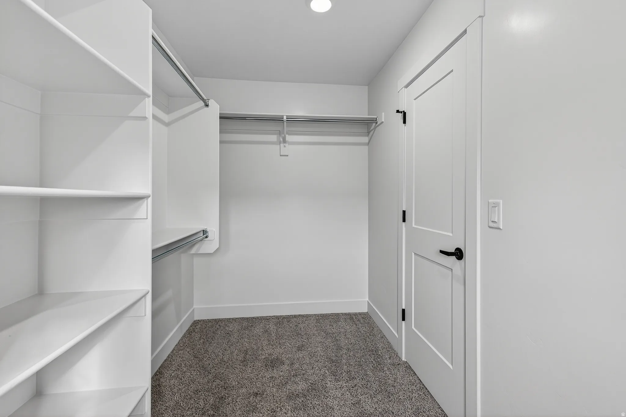 Walk-in closet featuring built-in shelving, dual hanging rods, and gray carpet flooring