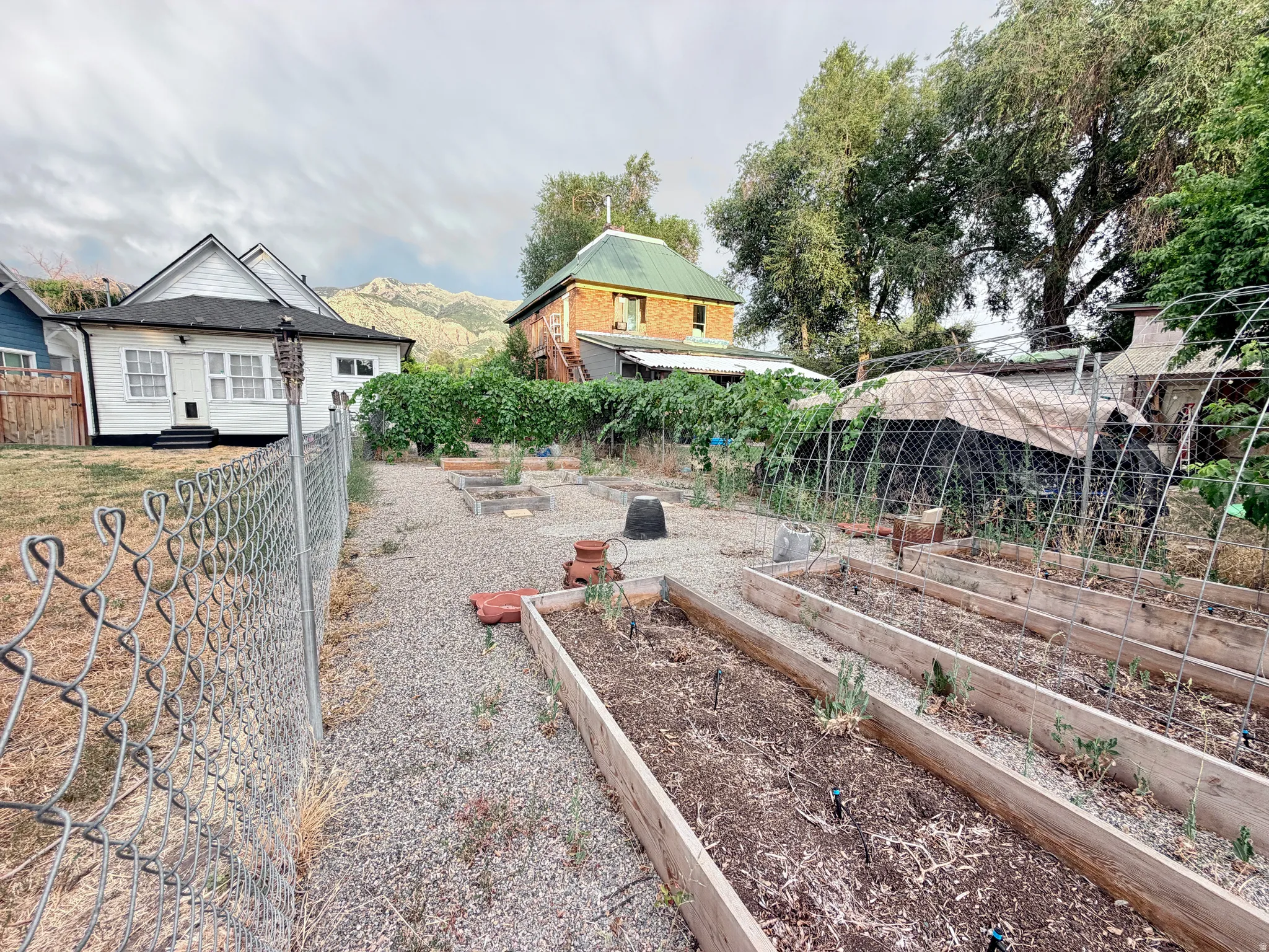 Expansive backyard featuring a gravel path and multiple raised garden beds