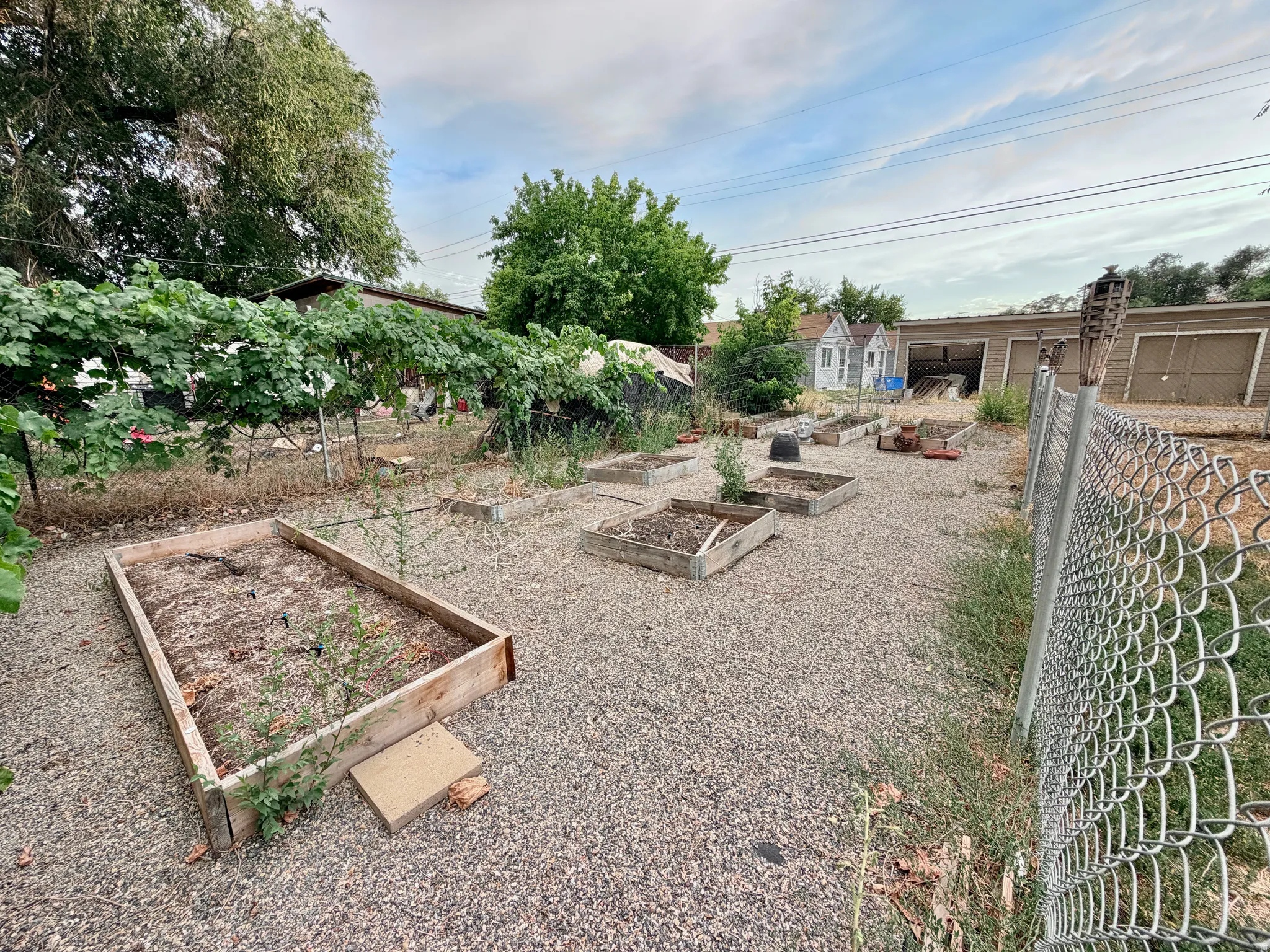 Gravel hardscaping featuring multiple wood-framed garden beds, a chain-link fence, and mature trees