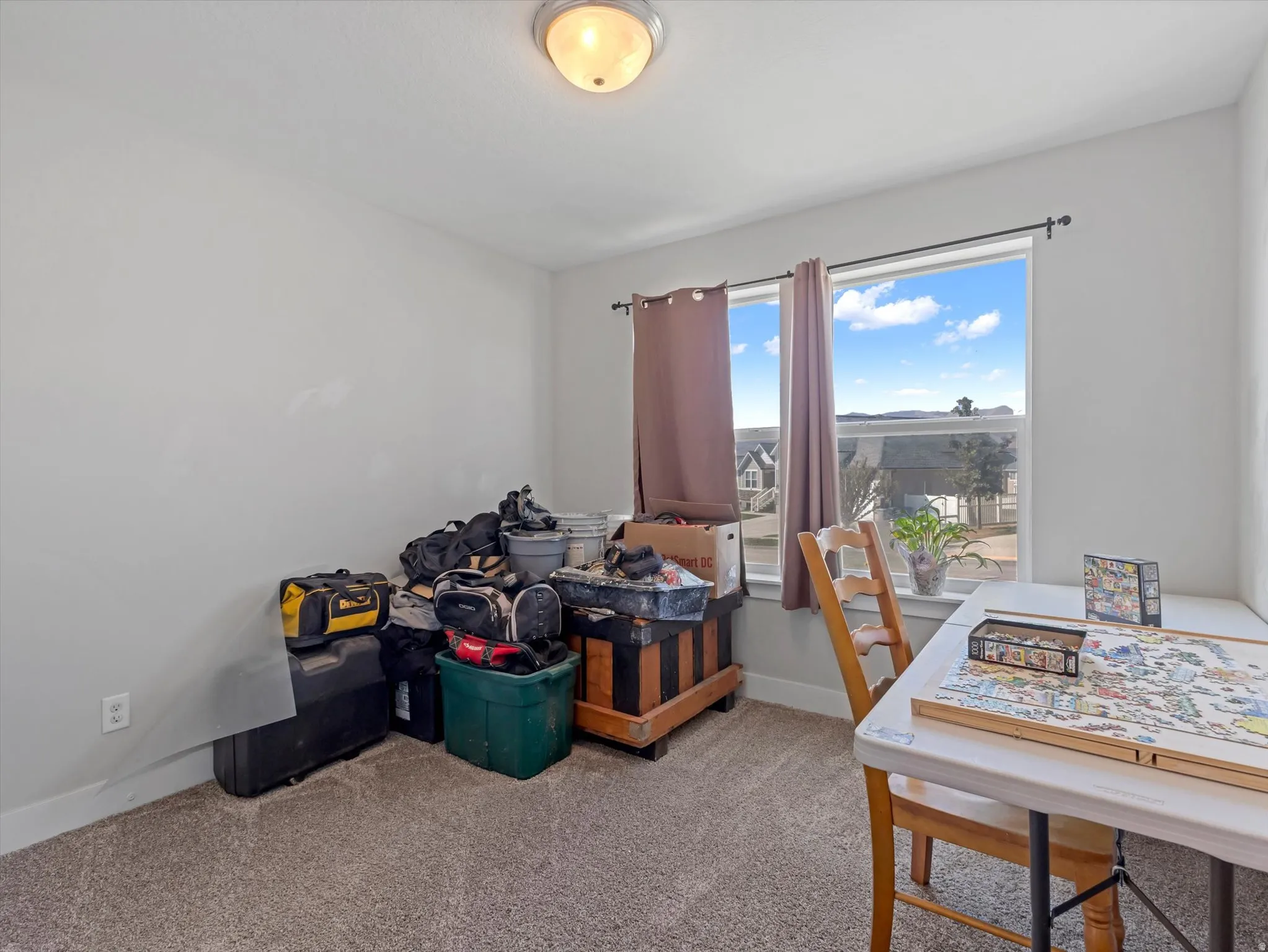Carpeted room featuring a ceiling-mounted light fixture, white baseboards, and a large window with a dark curtain rod