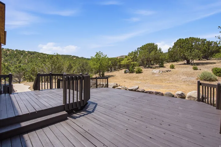 Expansive outdoor deck with dark wood-finish flooring and matching railings